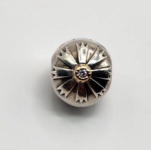 Pandora Two Tones Clip Charm
